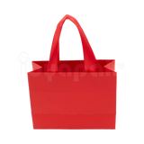 Bolsa de Papel Mate con Liston - Chica