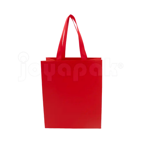 Bolsa de Papel Mate con Liston - Grande