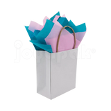 Bolsa Kraft Mediana