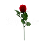 Rosa con Tallo Duo