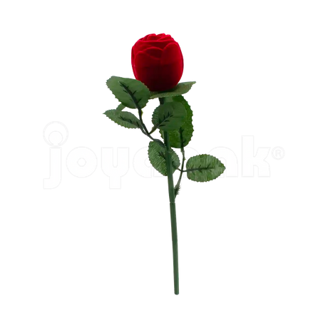 Rosa con Tallo Duo
