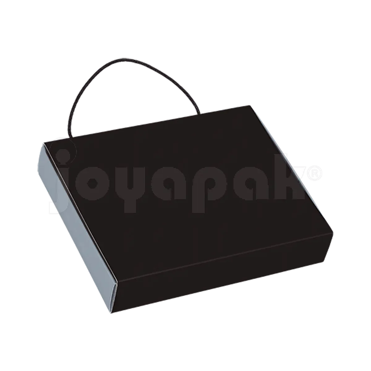 #color_negro-plata