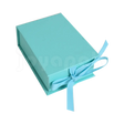 #color_aqua
