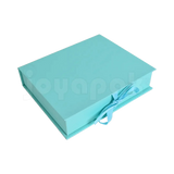 #color_aqua