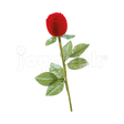 #color_rojo