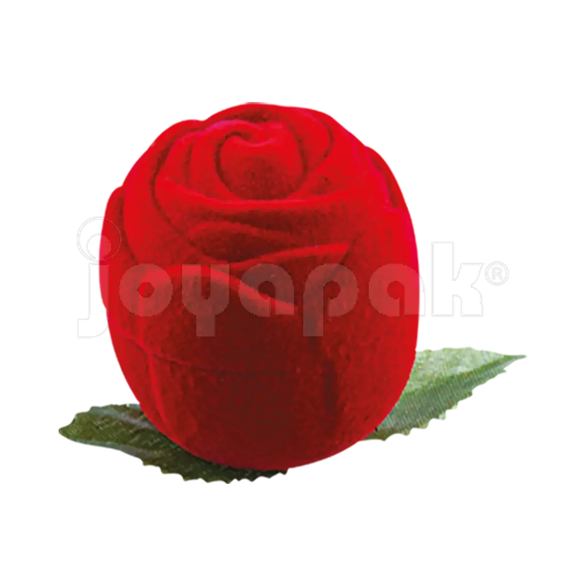 #color_rojo