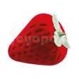 #color_rojo
