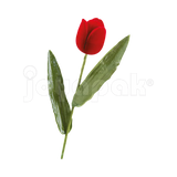 #color_rojo