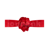 #color_rojo