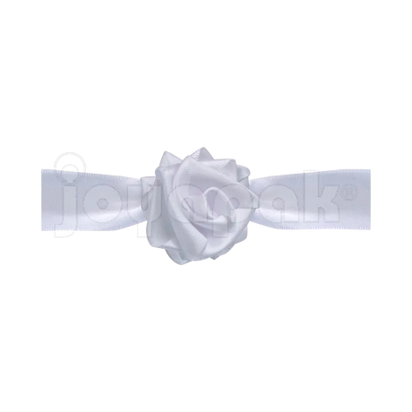 #color_blanco