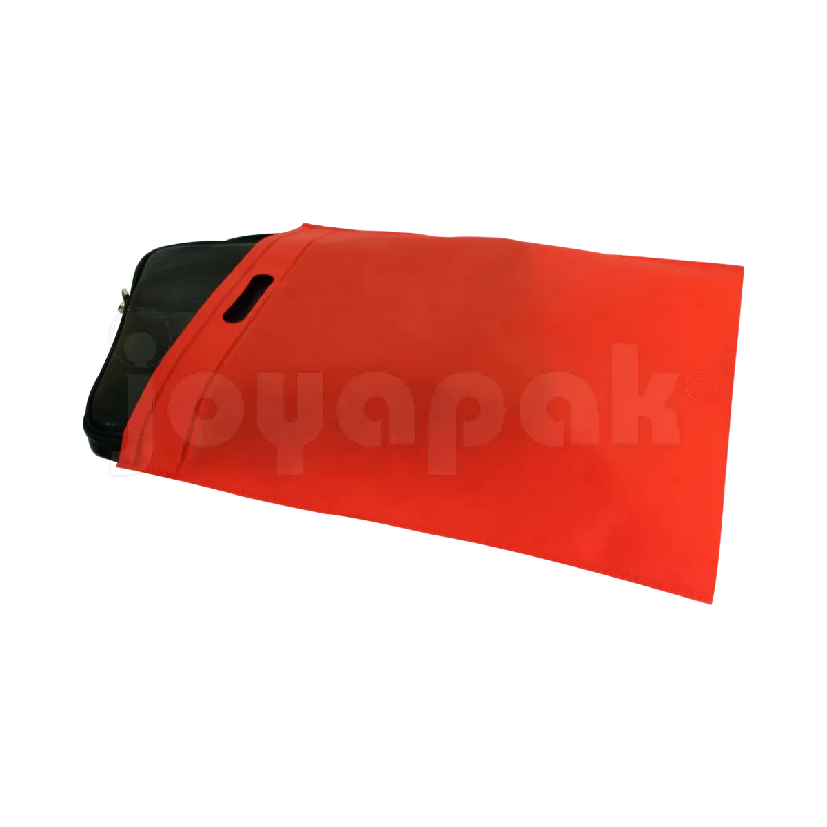 #color_rojo